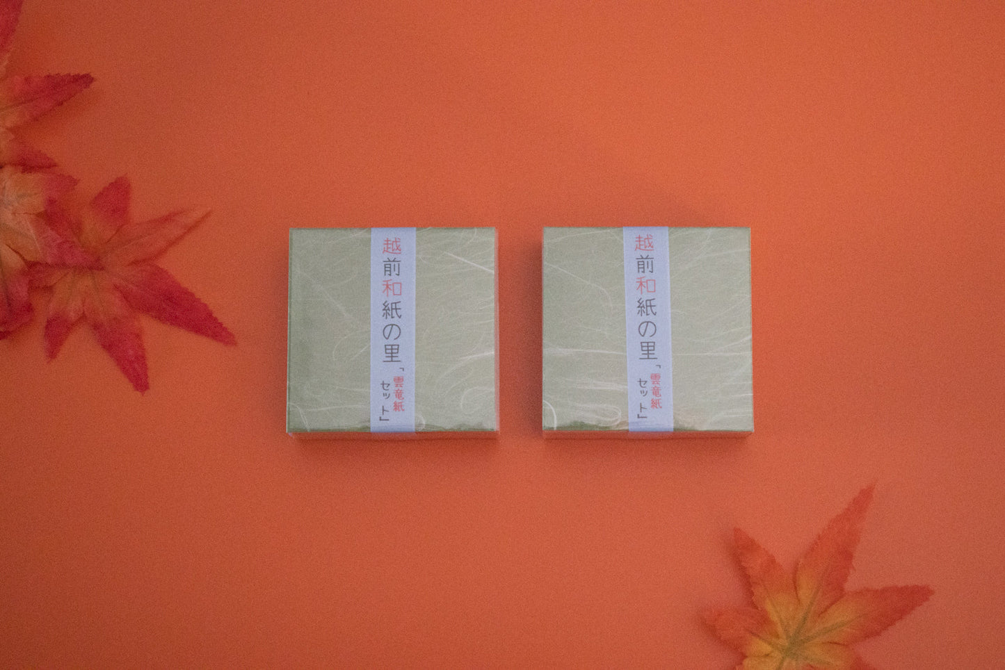雲竜紙 6cm(2パック入り)